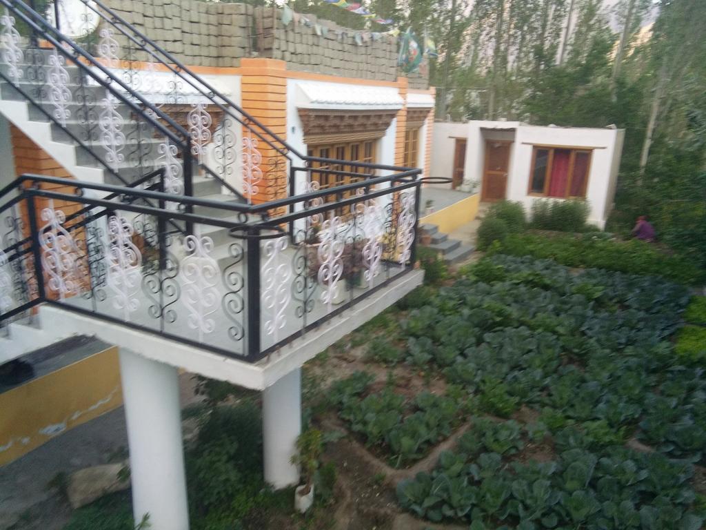 Galaxy Guest House Hundar ภายนอก รูปภาพ